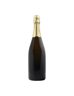 BOTTIGLIA VINO PERSONALIZZATA FRANCIACORTA BRUT SATEN 2020 COLA BATTISTA